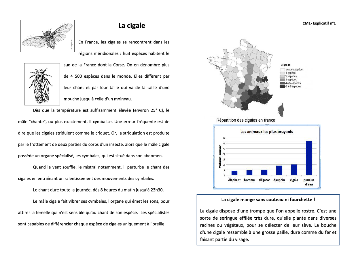 texte-cigale